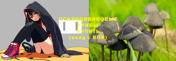 ECSTASY Волосово
