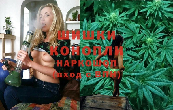 сатива Верея