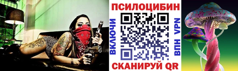 Псилоцибиновые грибы Psilocybine cubensis  магазин    Исилькуль 